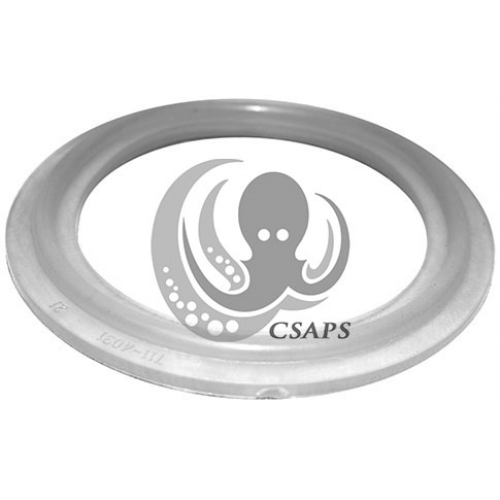 O-RING / GASKET 2" HEATER BUTTRESS