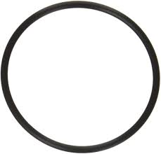Hayward Turbo Flo Strainer O-ring